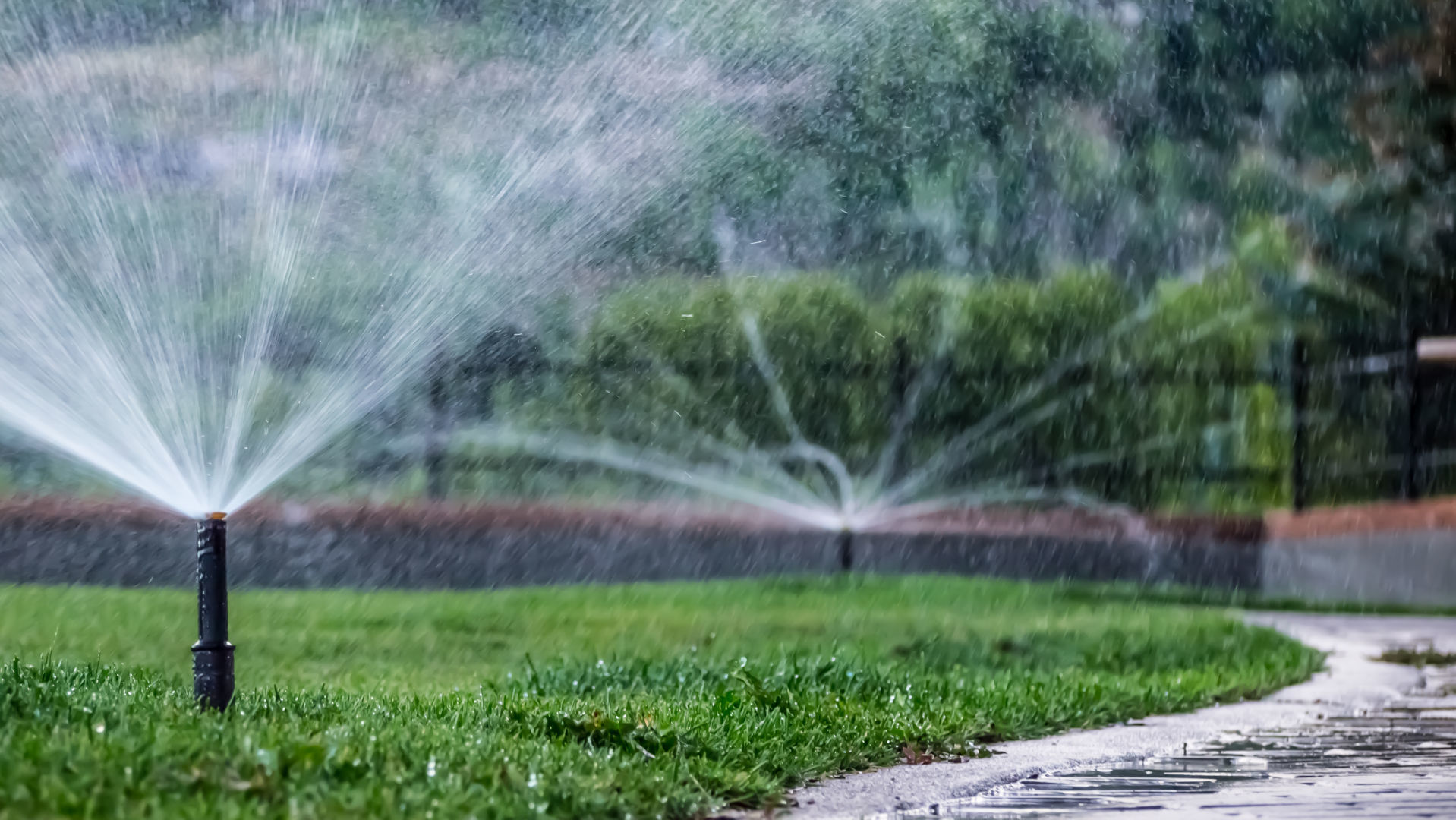 Water
